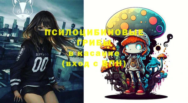 мдма Осинники