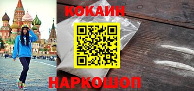 сатива Кингисепп