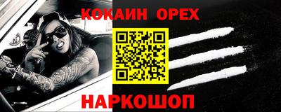 сатива Кингисепп