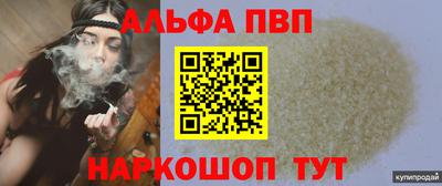 сатива Кингисепп