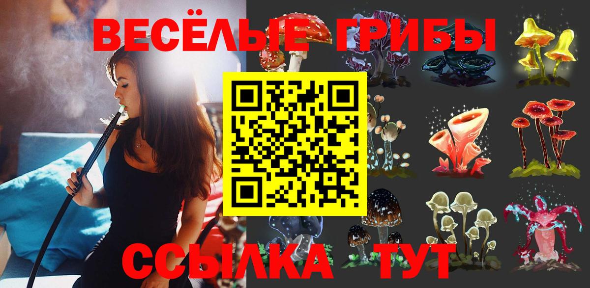 Галлюциногенные грибы мухоморы Нововоронеж